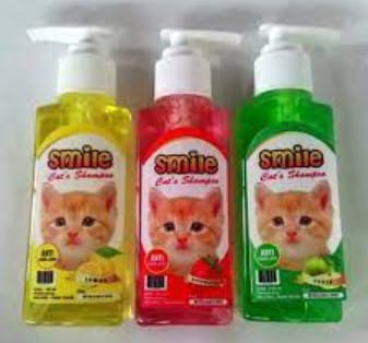 memandikan kucing dengan shampo manusia
