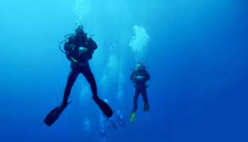 Ulasan Umum Tentang Freediving