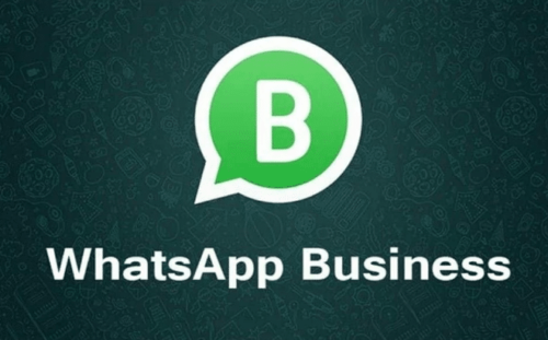 Business WhatsApp Apk